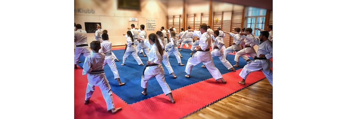 Sommertrening Ungdom/Voksen alle grader kl 18:00-19:15